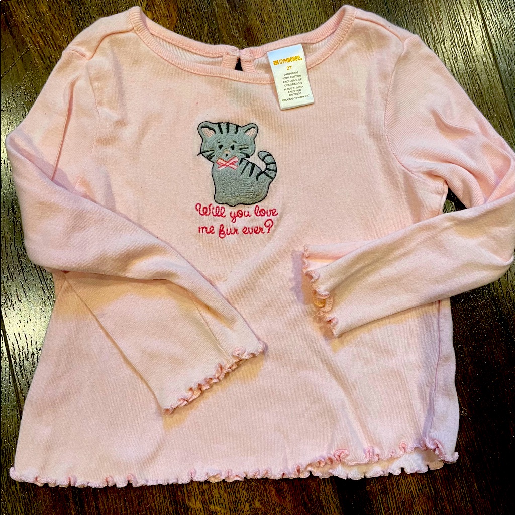 Gymboree Classroom Kitty Line Shirt 2t